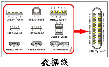 数据线类型